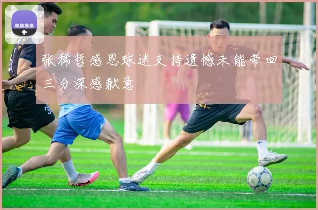 张稀哲感恩球迷支持遗憾未能带回三分深感歉意