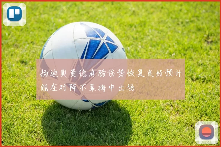 扬迪奥曼德肩膀伤势恢复良好预计能在对阵不莱梅中出场